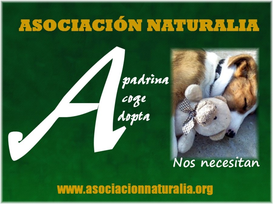 cartel asociacion naturalia