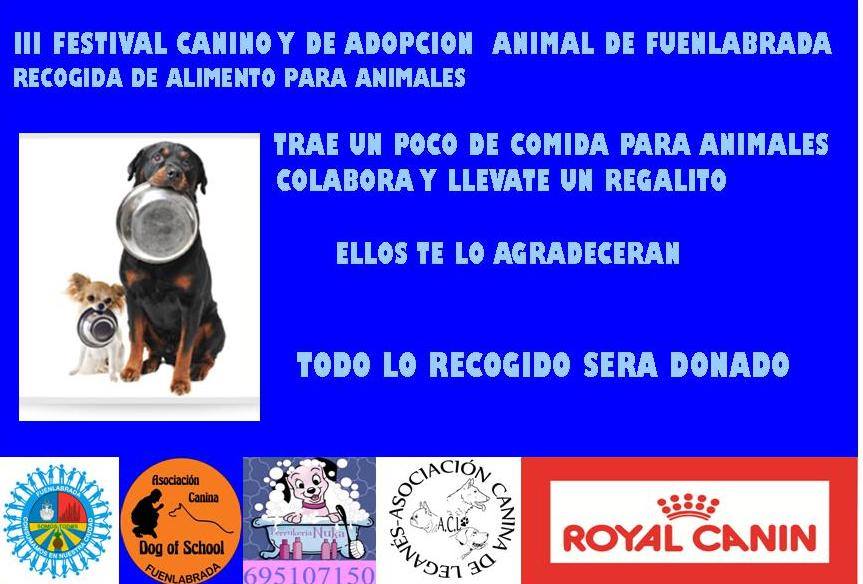 festival canino fuenlabrada