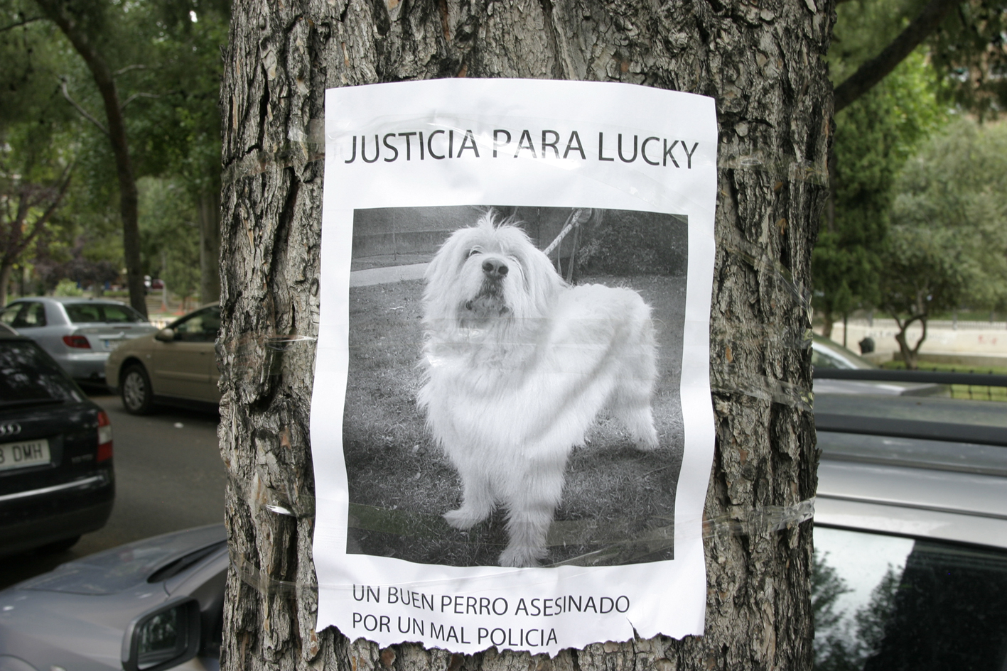 justicia lucky zaragoza