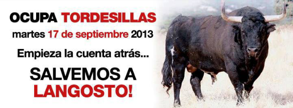 ocupa tordesillas 2013