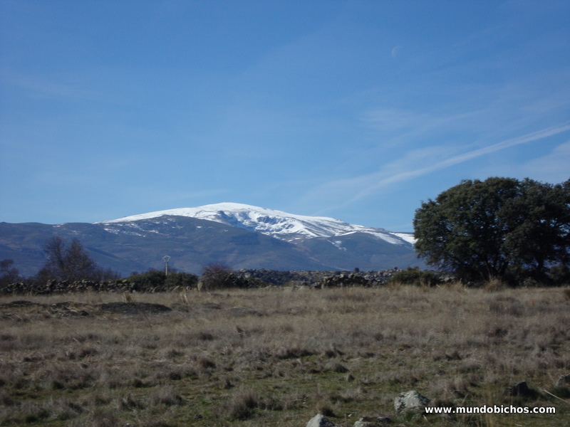 paseo febrero el tejado