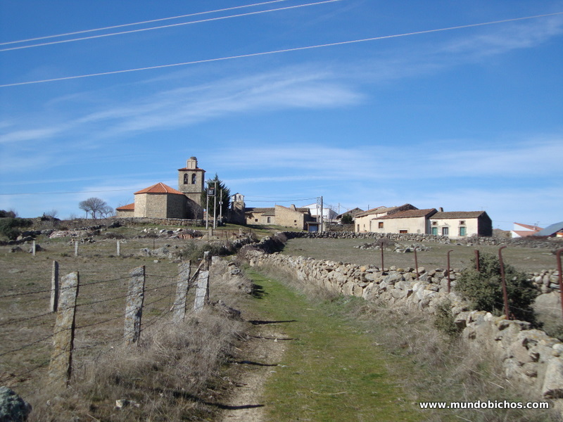 paseo febrero el tejado