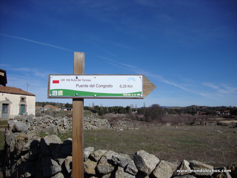 paseo febrero el tejado