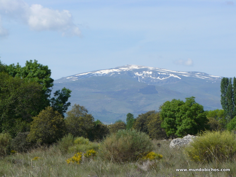 paseo el tejado