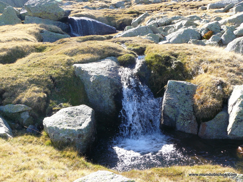 agua otoño 2014