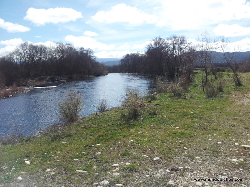 central tormes