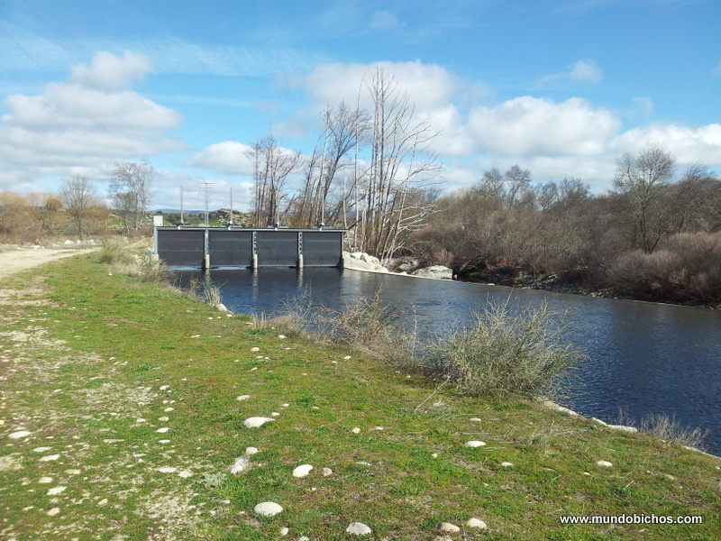 central tormes