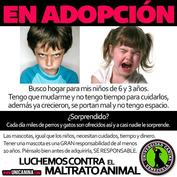 cartel mascotas