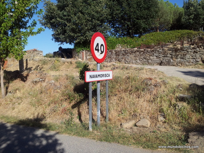 salida bici verano 2014