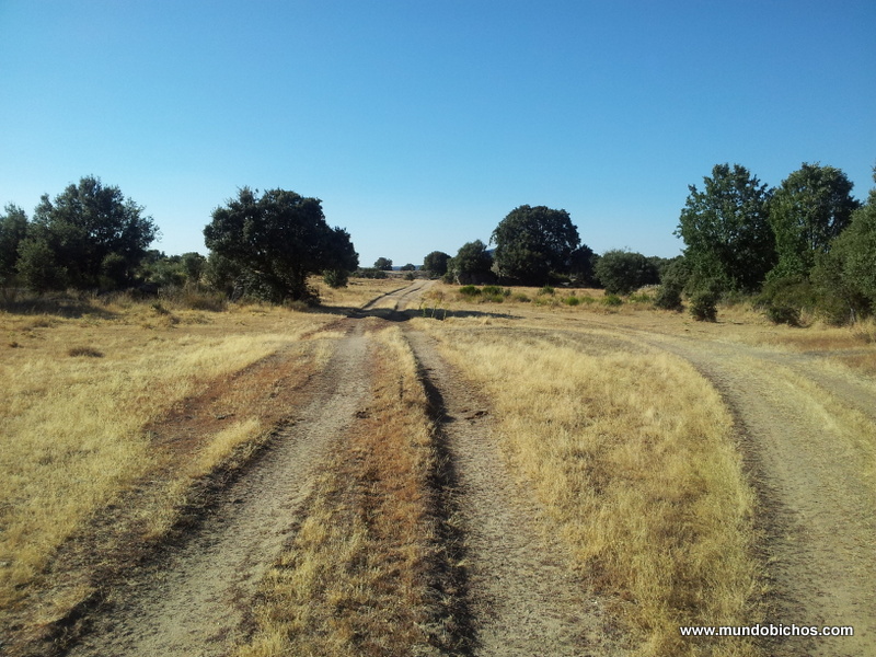 salida bici verano 2014