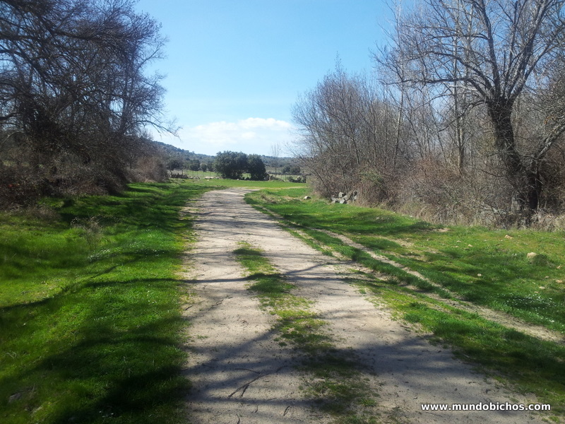 paseo en bici 2014