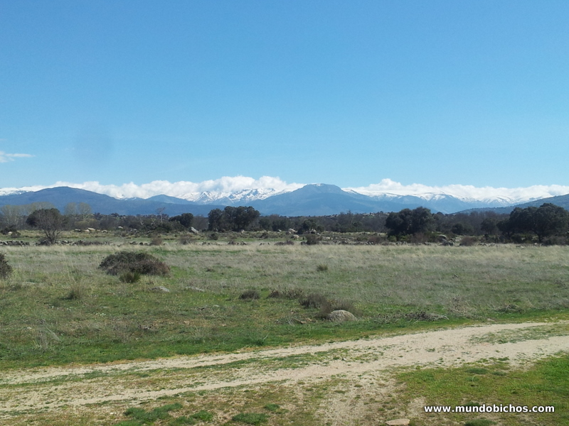 paseo en bici 2014
