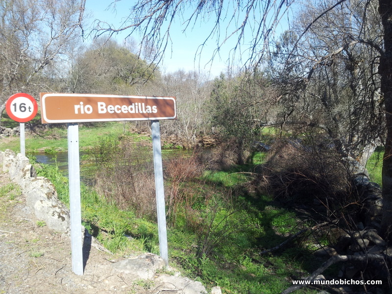 paseo en bici 2014