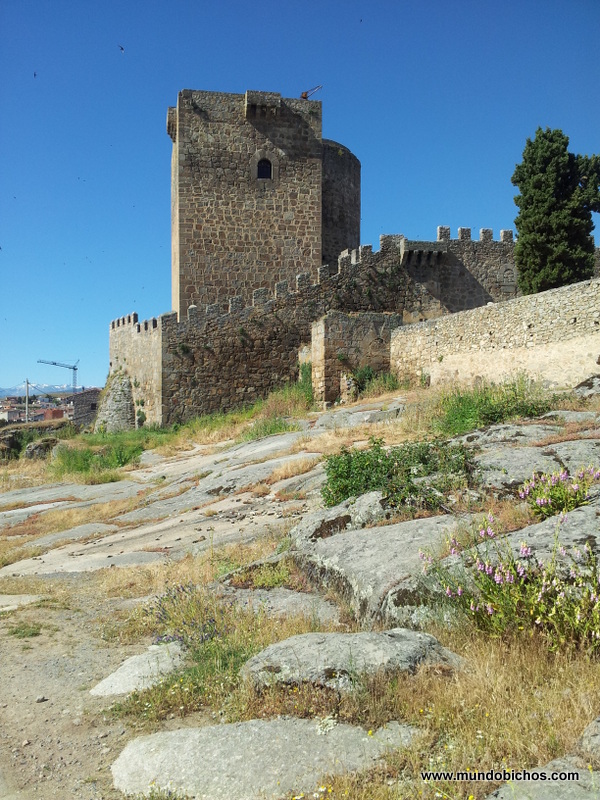 puente del congosto