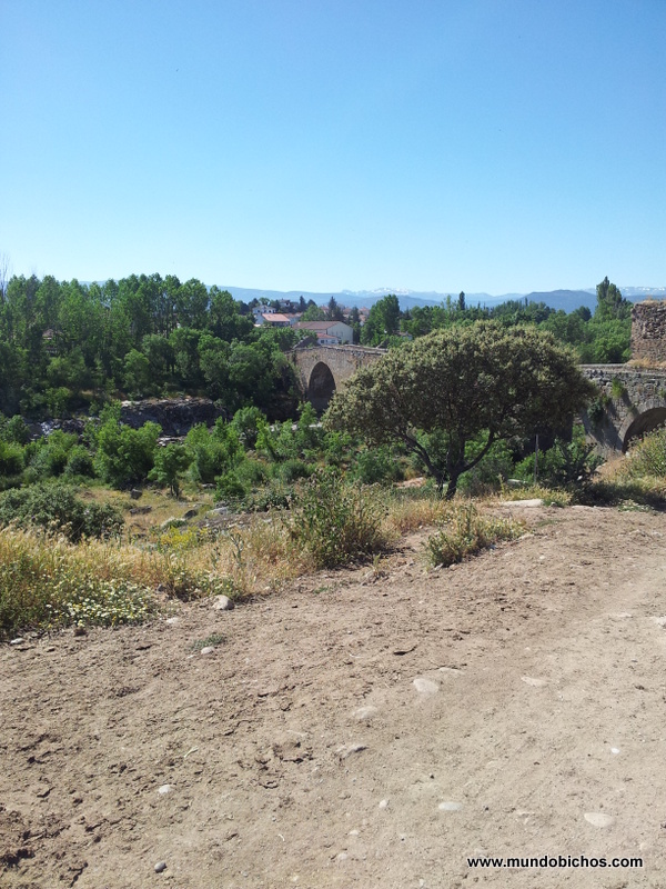 puente del congosto