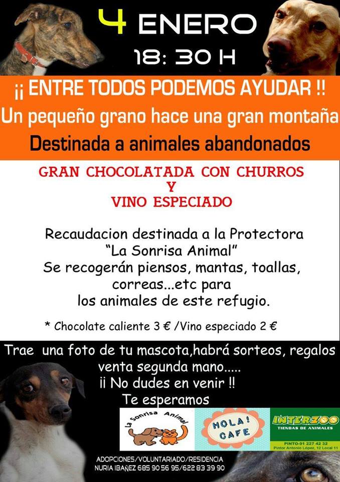 chocolatada pinto 2015