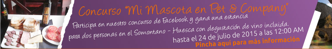 concurso pet and company