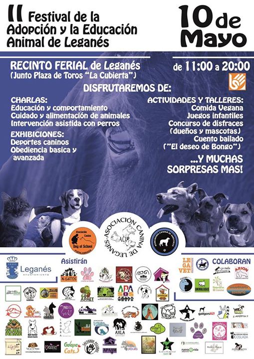 festival adopcion leganes