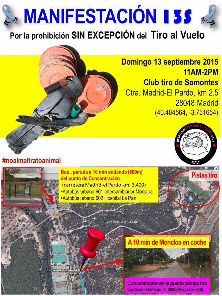 manifestación tiro al vuelo