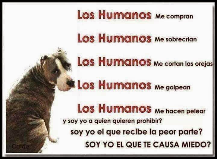 miedo a los perros
