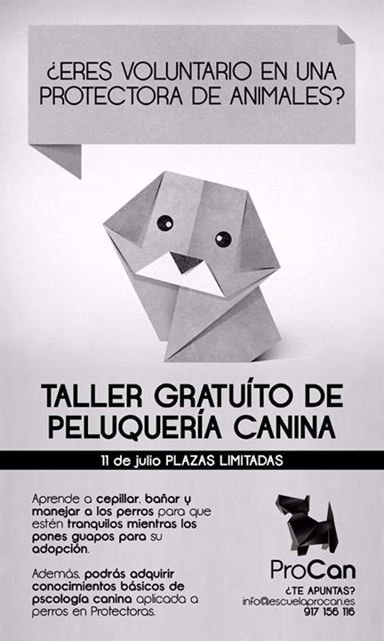 talleres procan