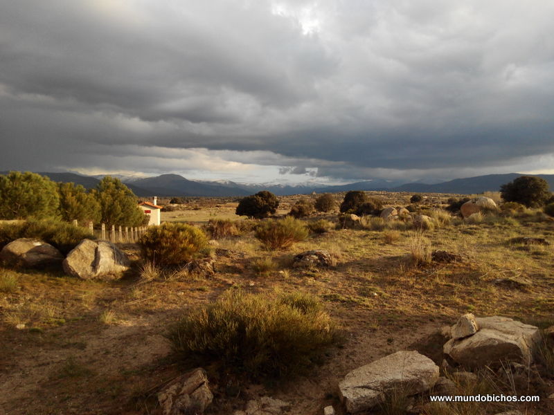 el tejado abril 2015