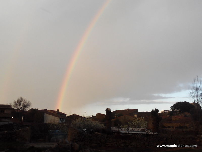 el tejado abril 2015
