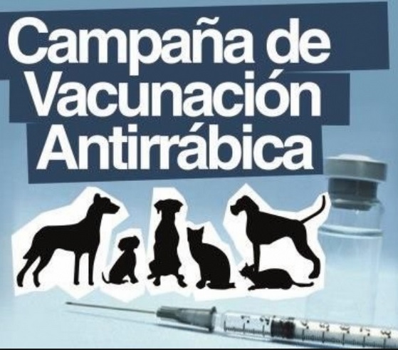 vacunacion rabia 2015