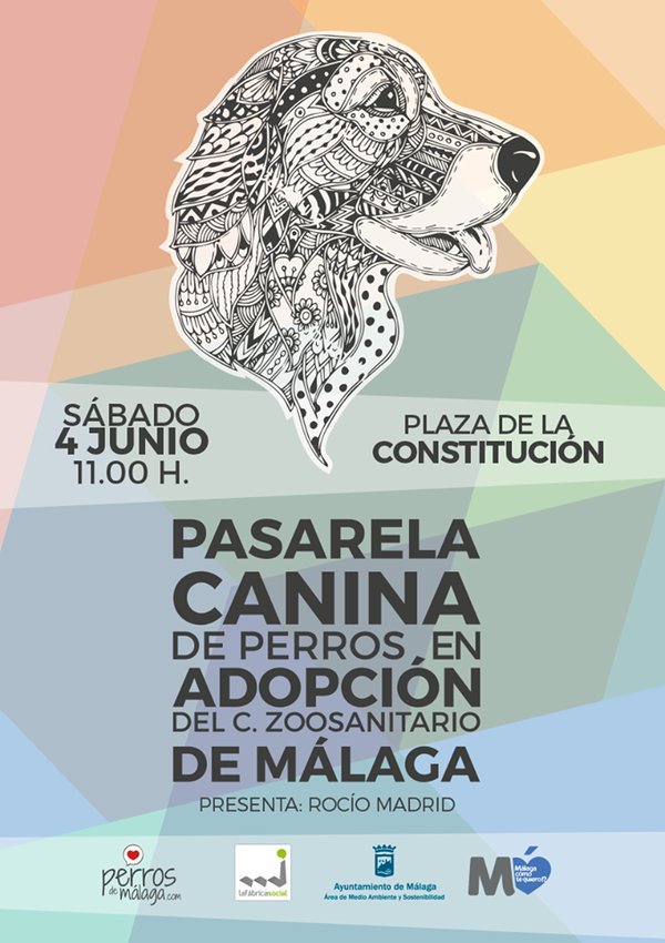 pasarela adopción malaga