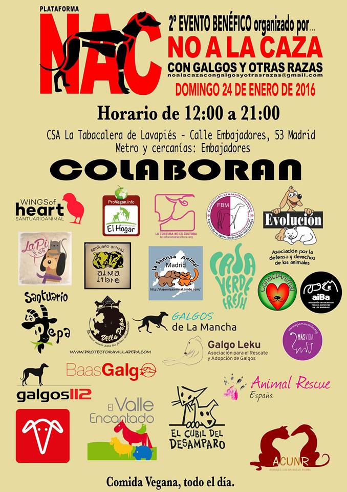 evento benefico