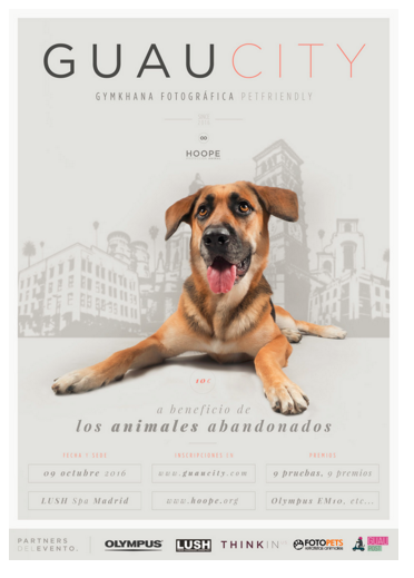 concurso fotografico