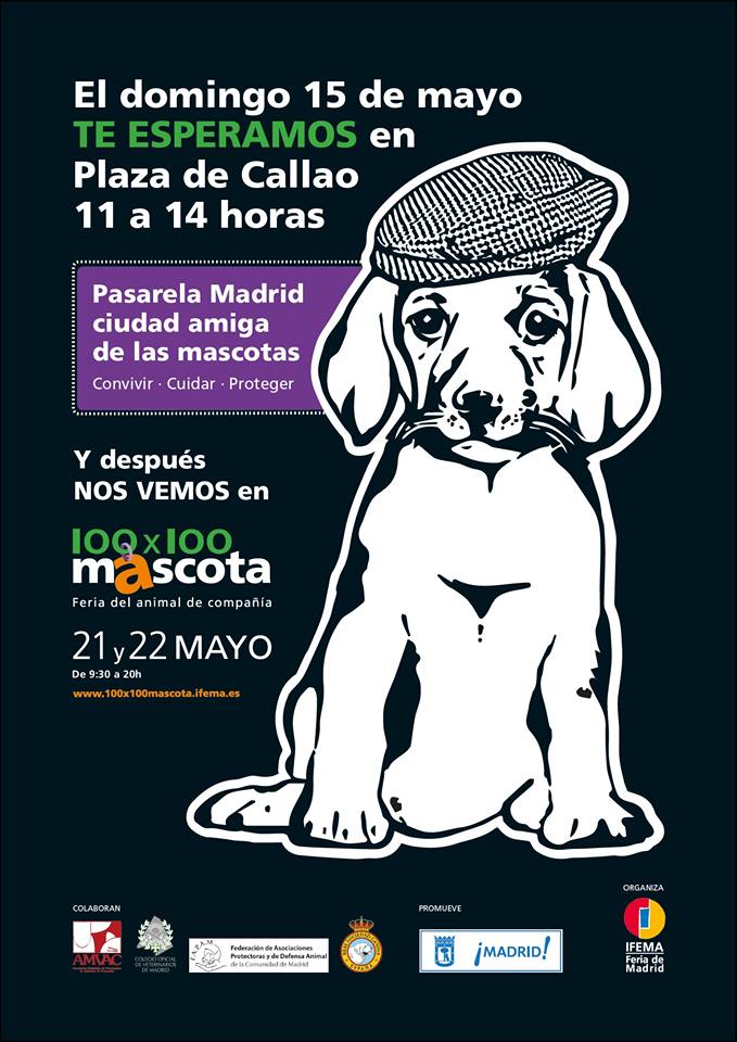 madrid adopción