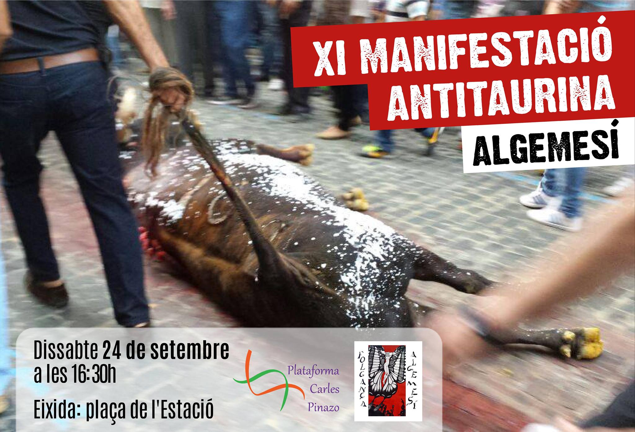 manifestacion antitaurin algemesi