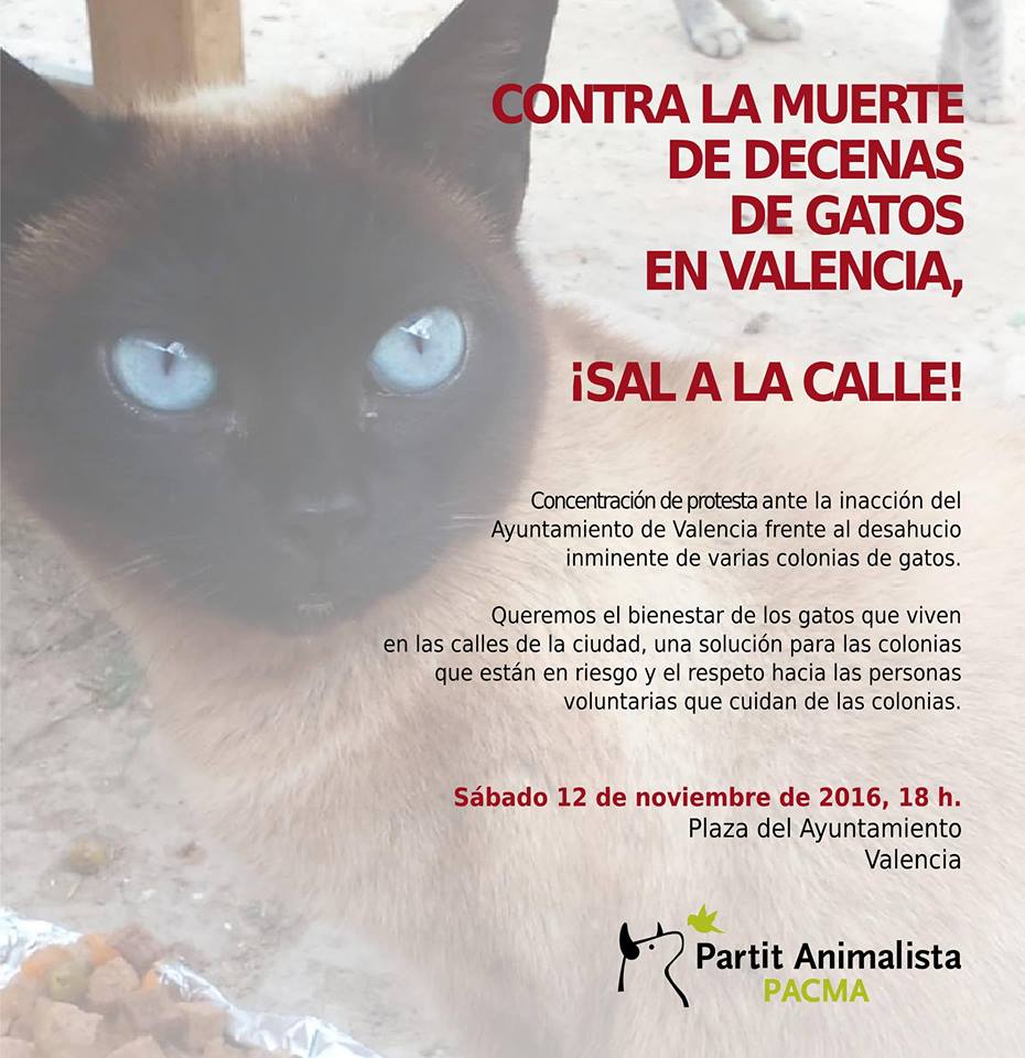manifestacion valencia pacma