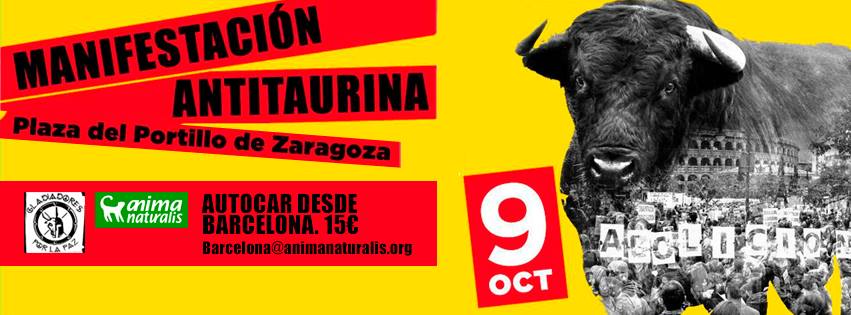 manifestación zaragoza