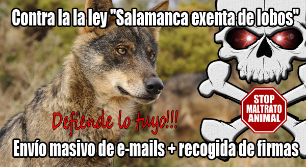 salamanca lobos