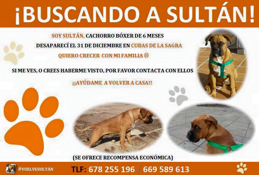buscando a sultan