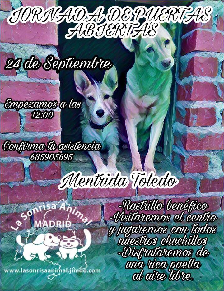 jornada puertas abiertas lasa