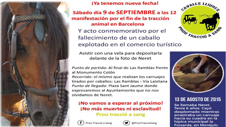 manifestacion barcelona