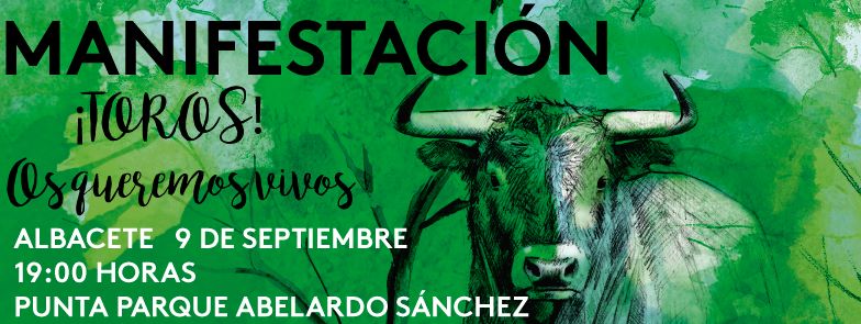 manifestacion albacete