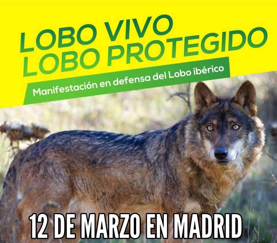 manifestacion lobos madrid