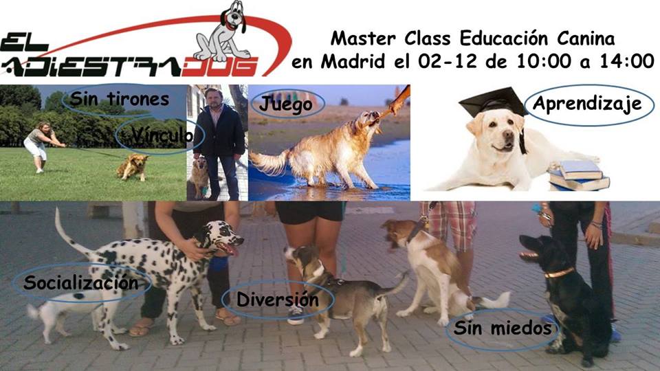 master class retiro madrid