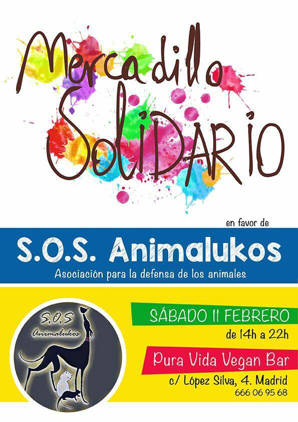 mercadillo solidario madrid