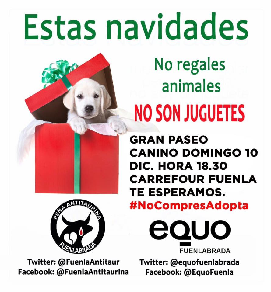 paseo canino fuenlabrada