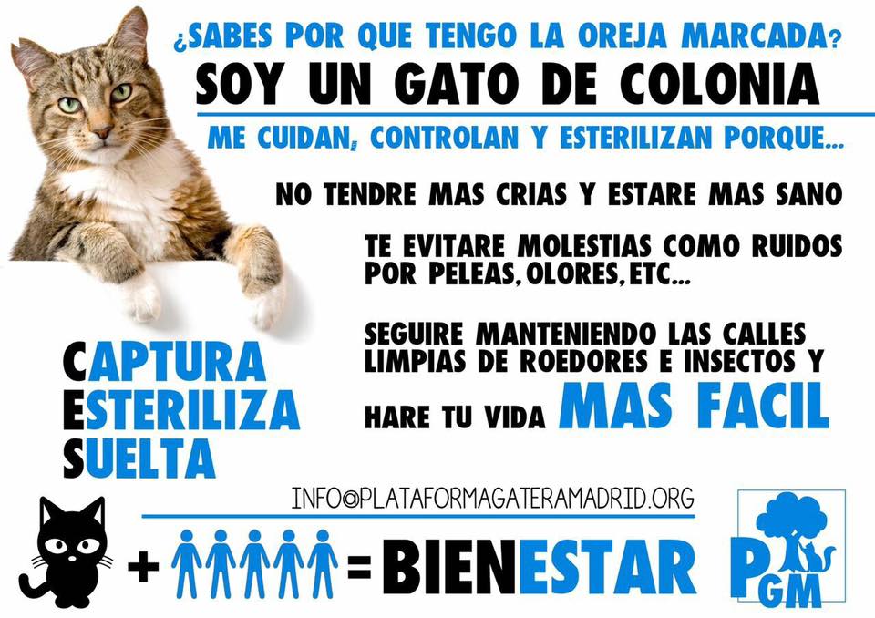 plataforma gatera madrid