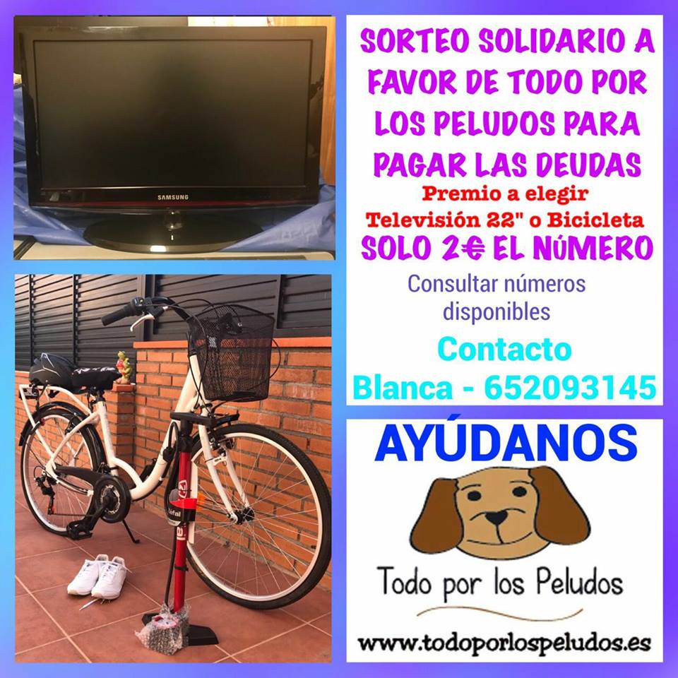 sorteo solidario