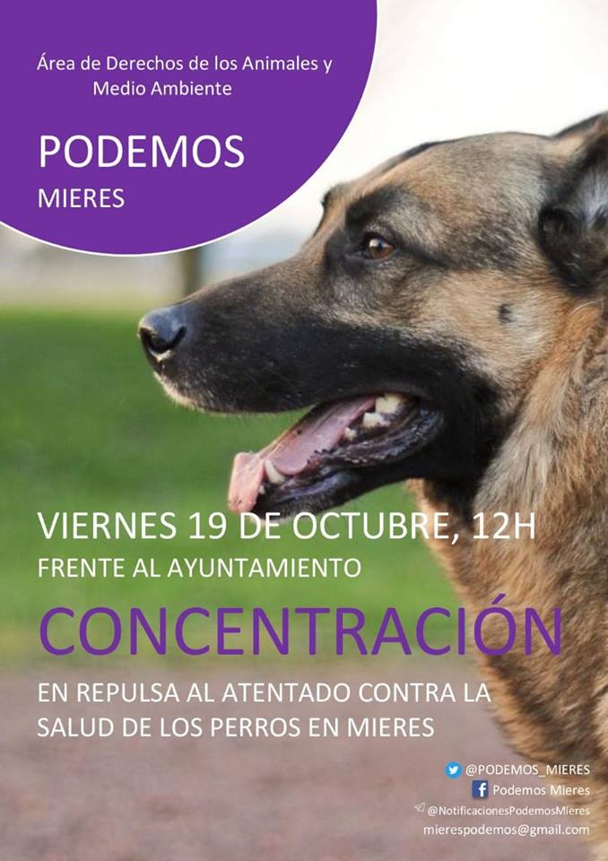 concentración barredo
