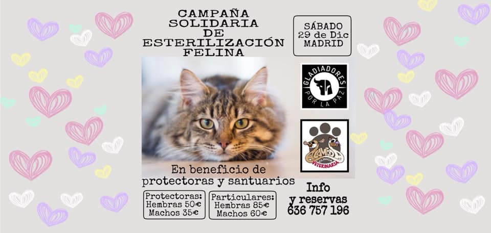 esterilizaciones solidarias