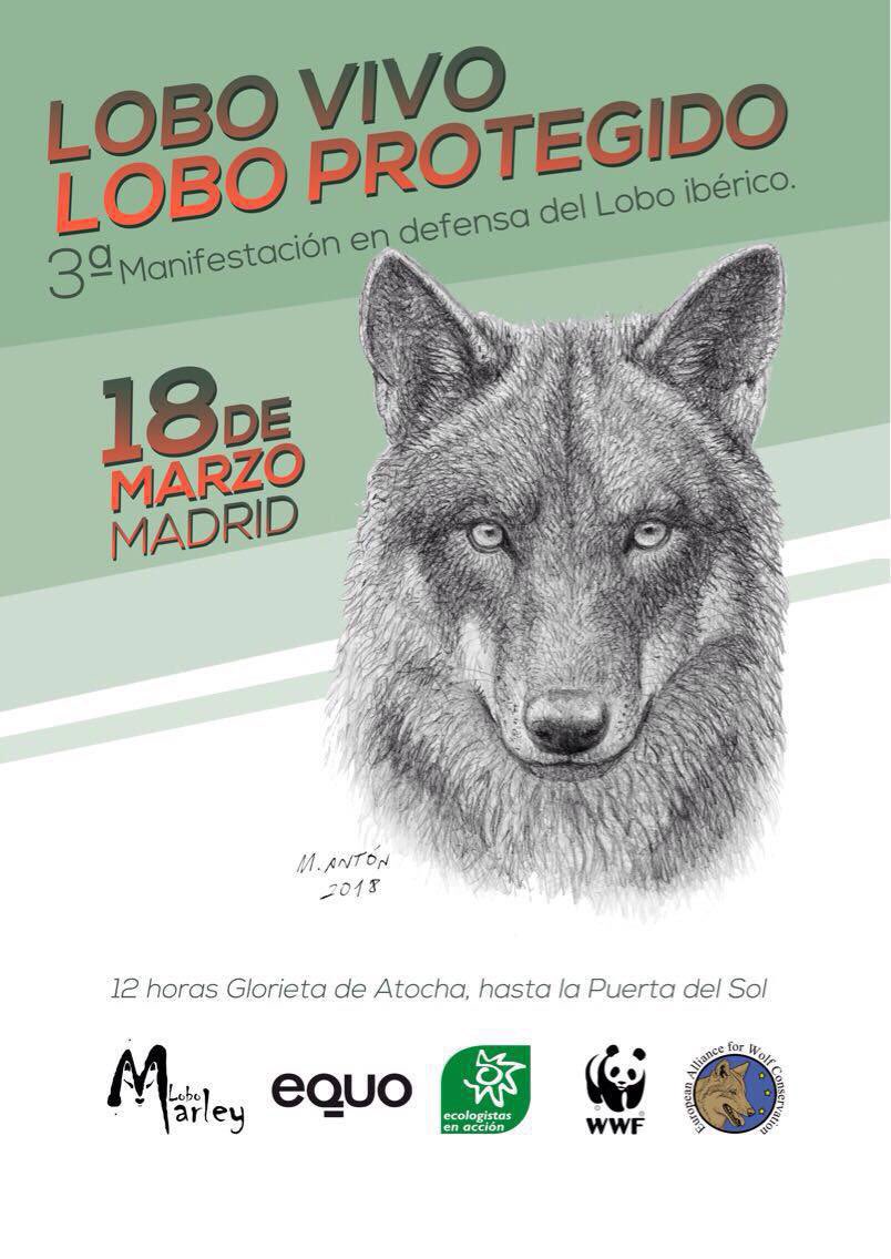 manifestacion madrid lobo protegido