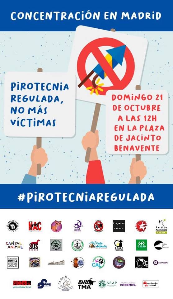 manifestation pirotecnia madrid